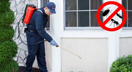Karesi Böcek İlaçlama böcek ilaçlama ve haşere kontrolü — ilaclama-tr.com